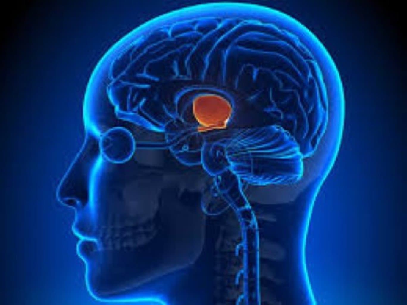 Hipofiz vəzi xəstəlikləri