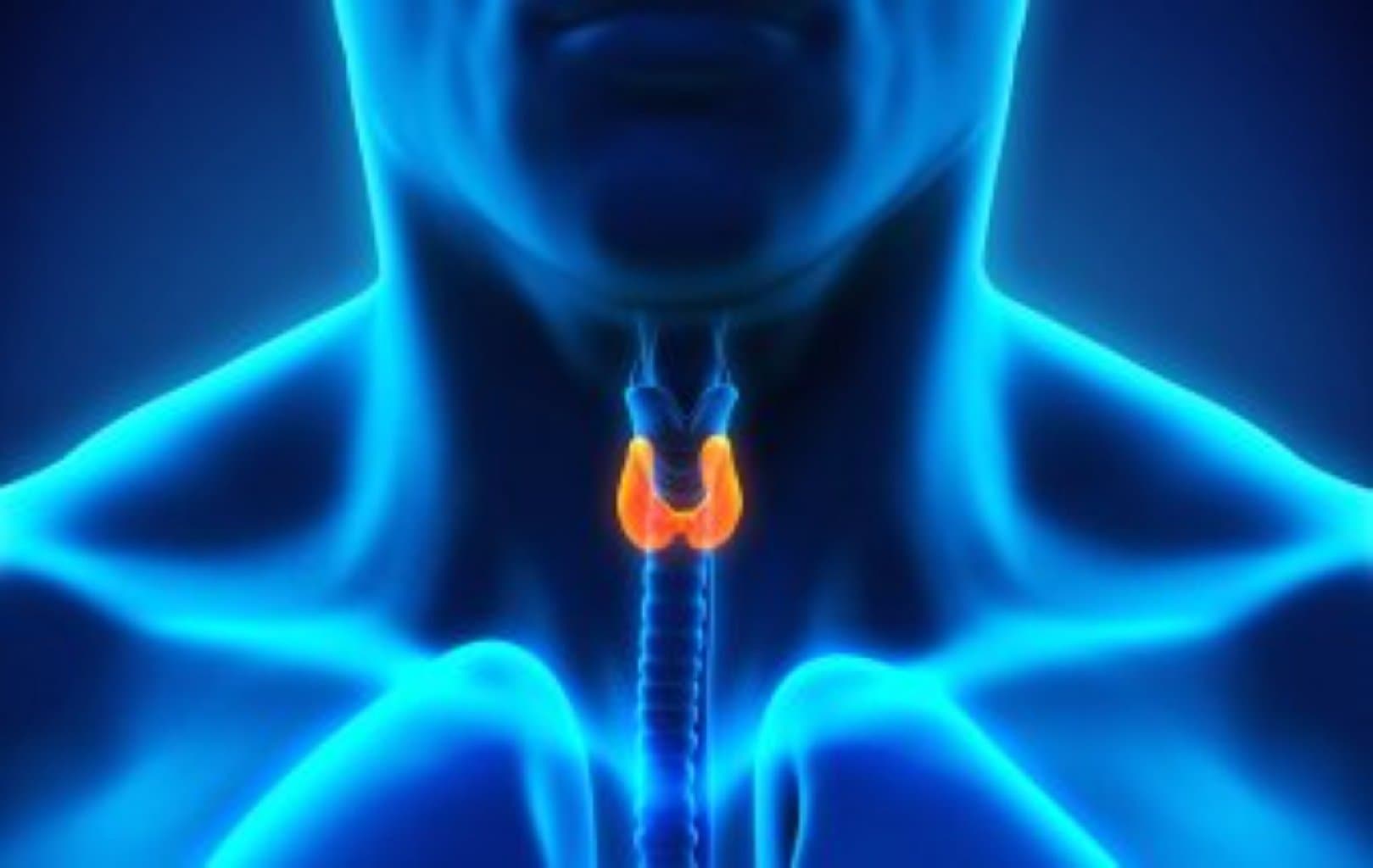 Aşağıdakı əlamətlərin olması sizin qalxanvari vəzinizdə disfunksiyanın olmasını göstərir
