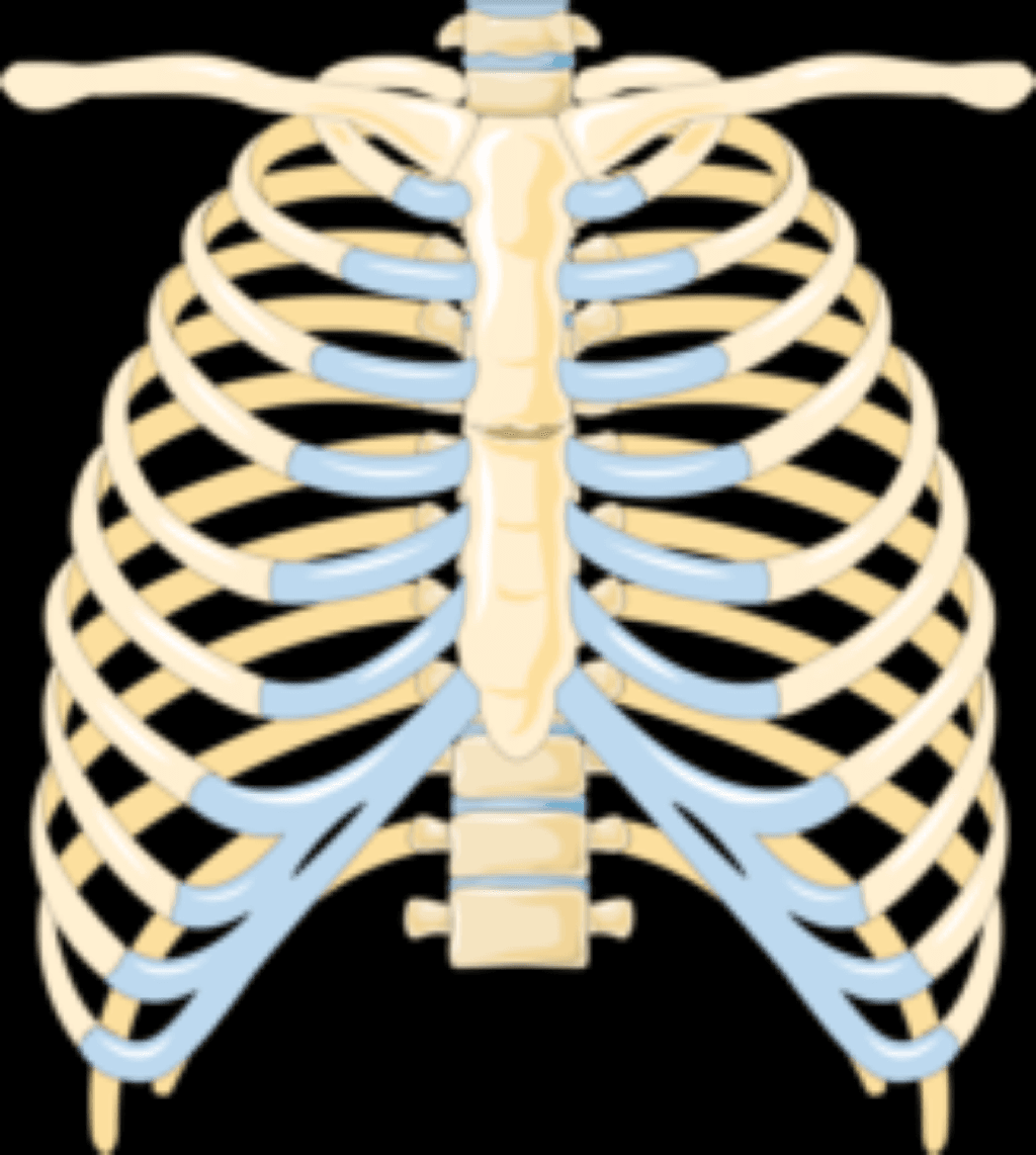 Manubriosternal sindrom