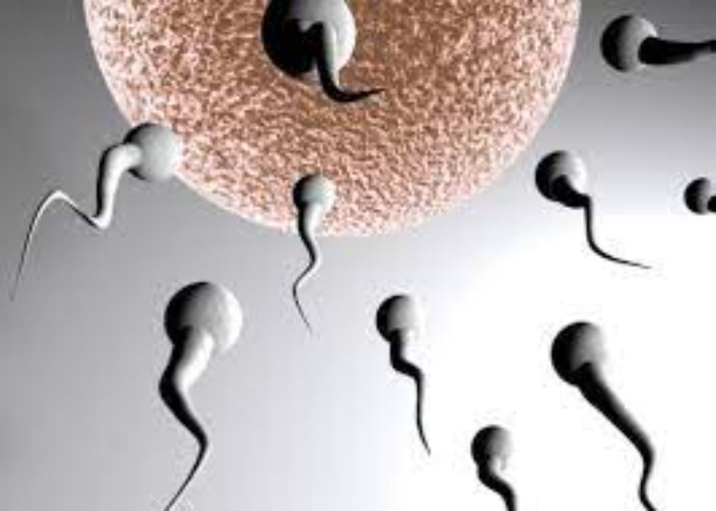 İnfertillik (sonsuzluq)