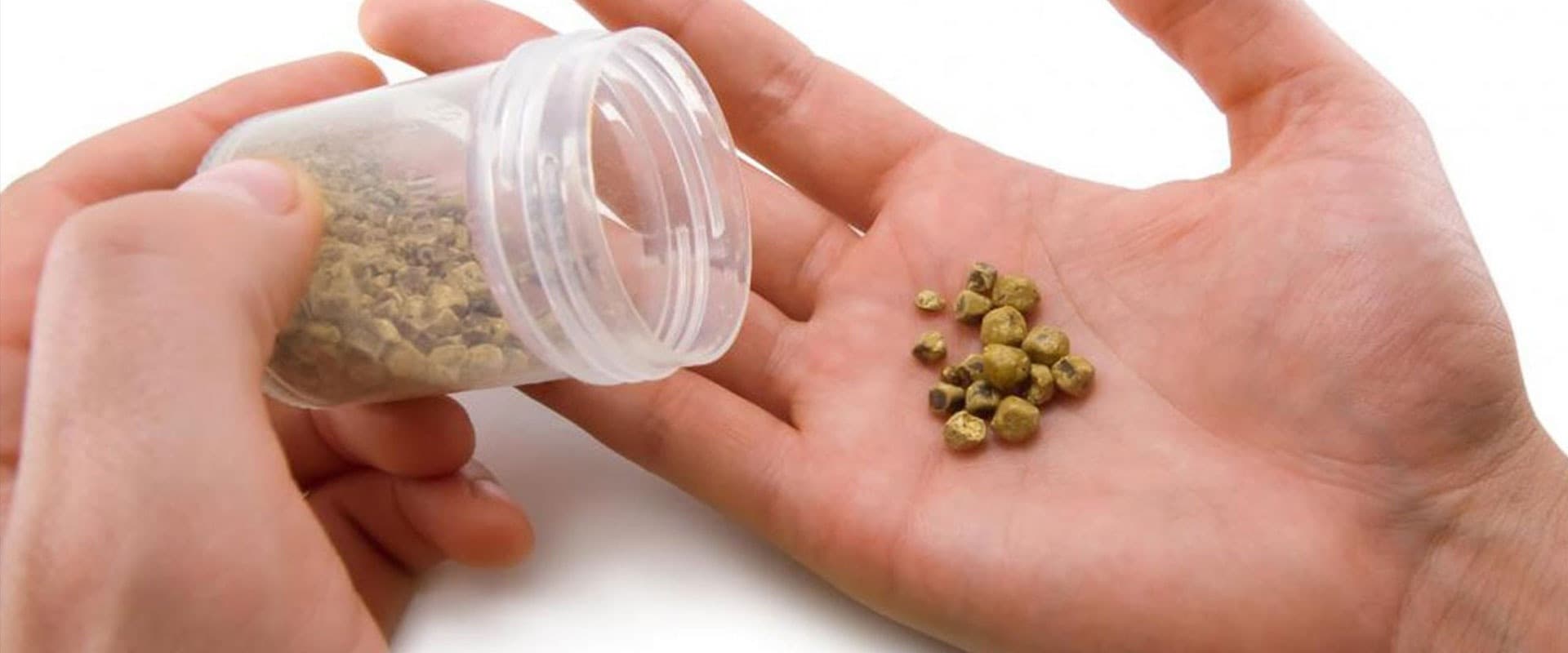 Öd daşları: simptomlar, səbəblər və müalicələr