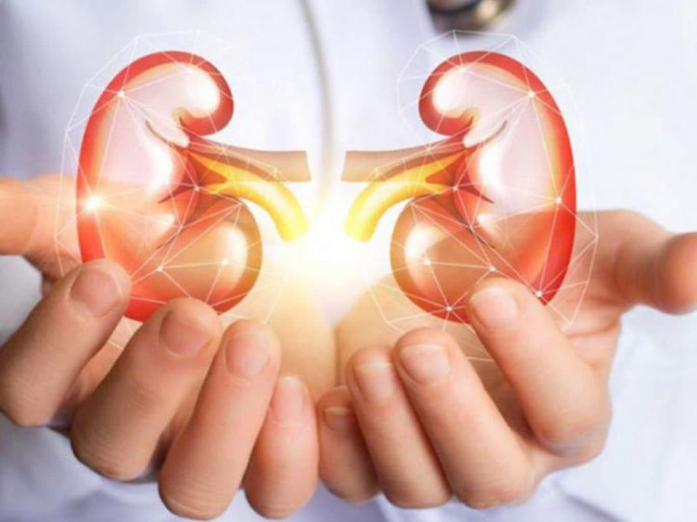 Böbrek Xəstəlikləri: Növləri, Səbəbləri və Müalicə Metodları
