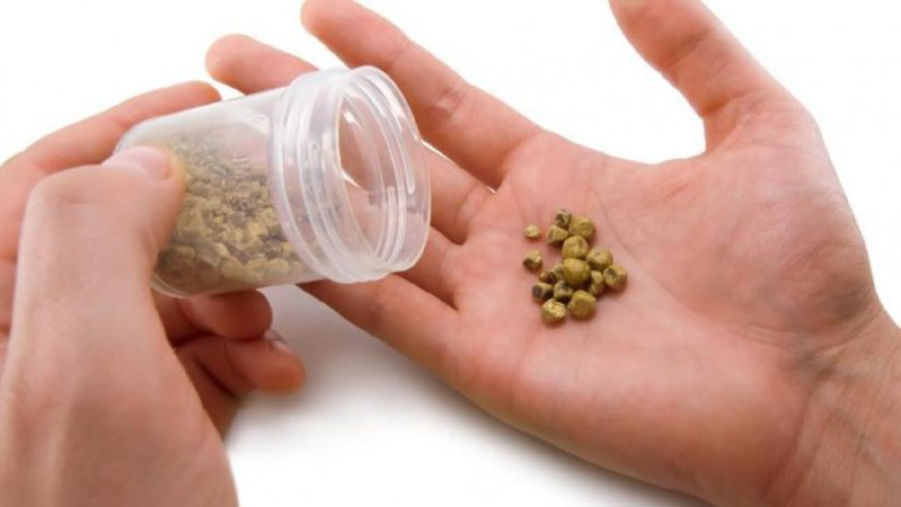 Öd daşı xəstəliyi