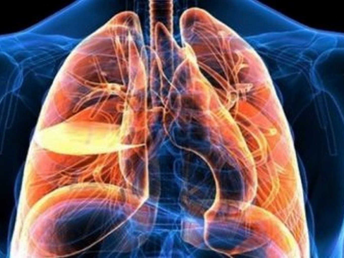 Yuxarı və aşağı tənəffüs yollarının xəstəlikləri haqqında nə bilməliyik?