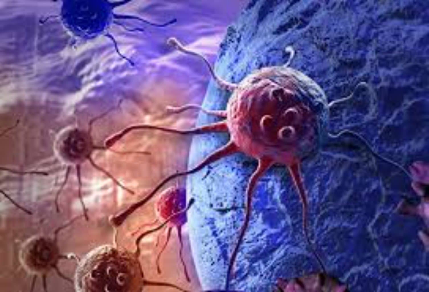 Xərçəng xəstəliyinin önlənməsi, araştırılması və erkən diaqnozu