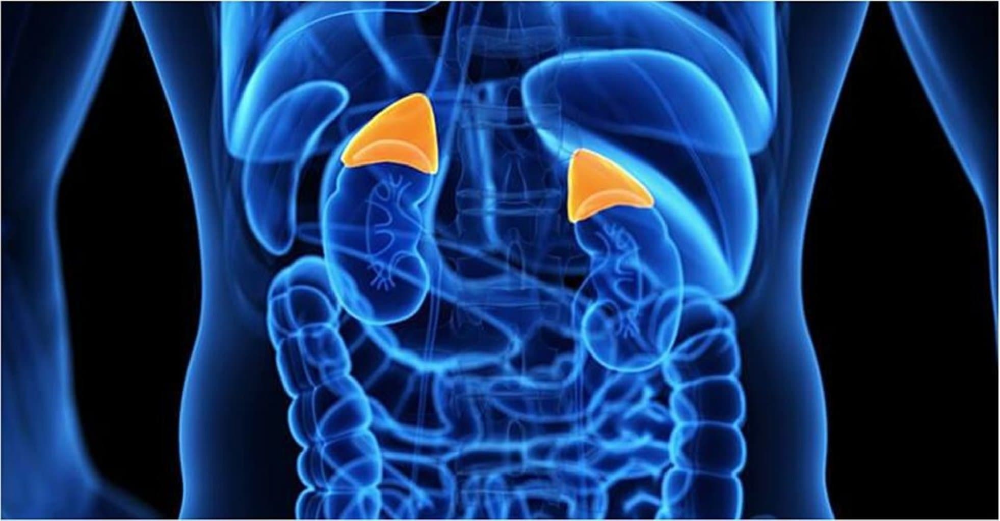 Böyrəküstü vəzi xəstəlikləri