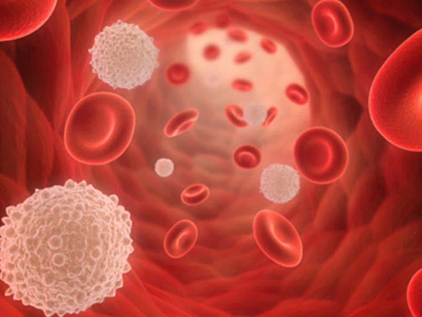 Qan yağlarının metabolizması xəstəlikləri