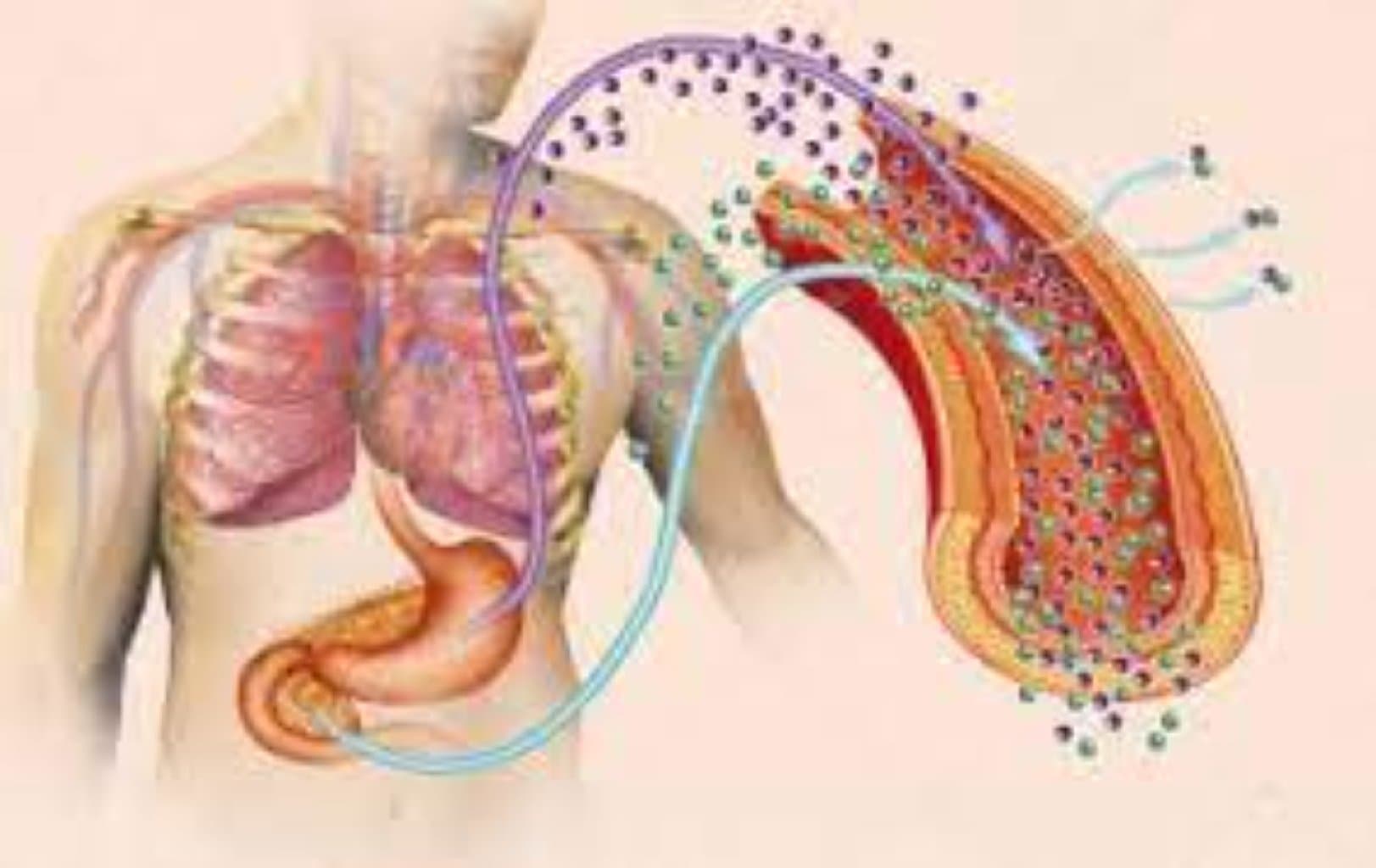 Endokrin xəstəliklər