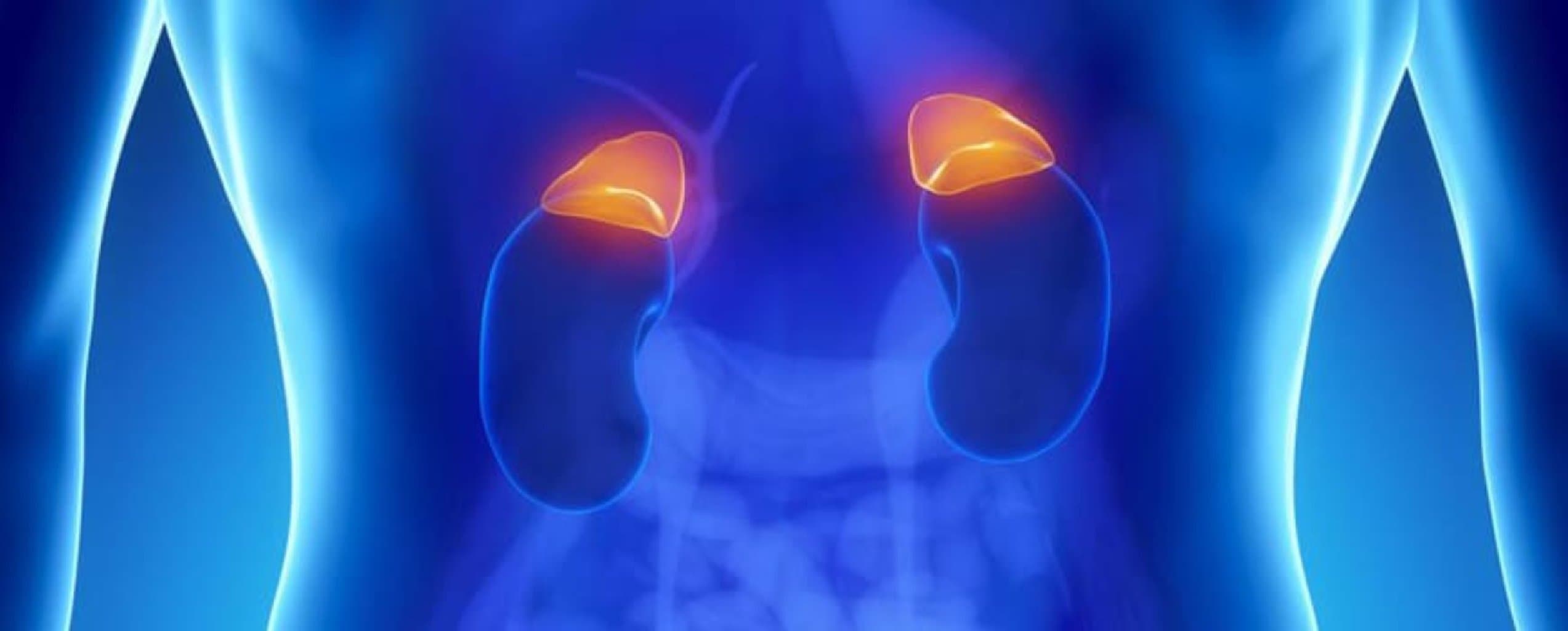 Böyrəküstü vəz xəstəlikləri