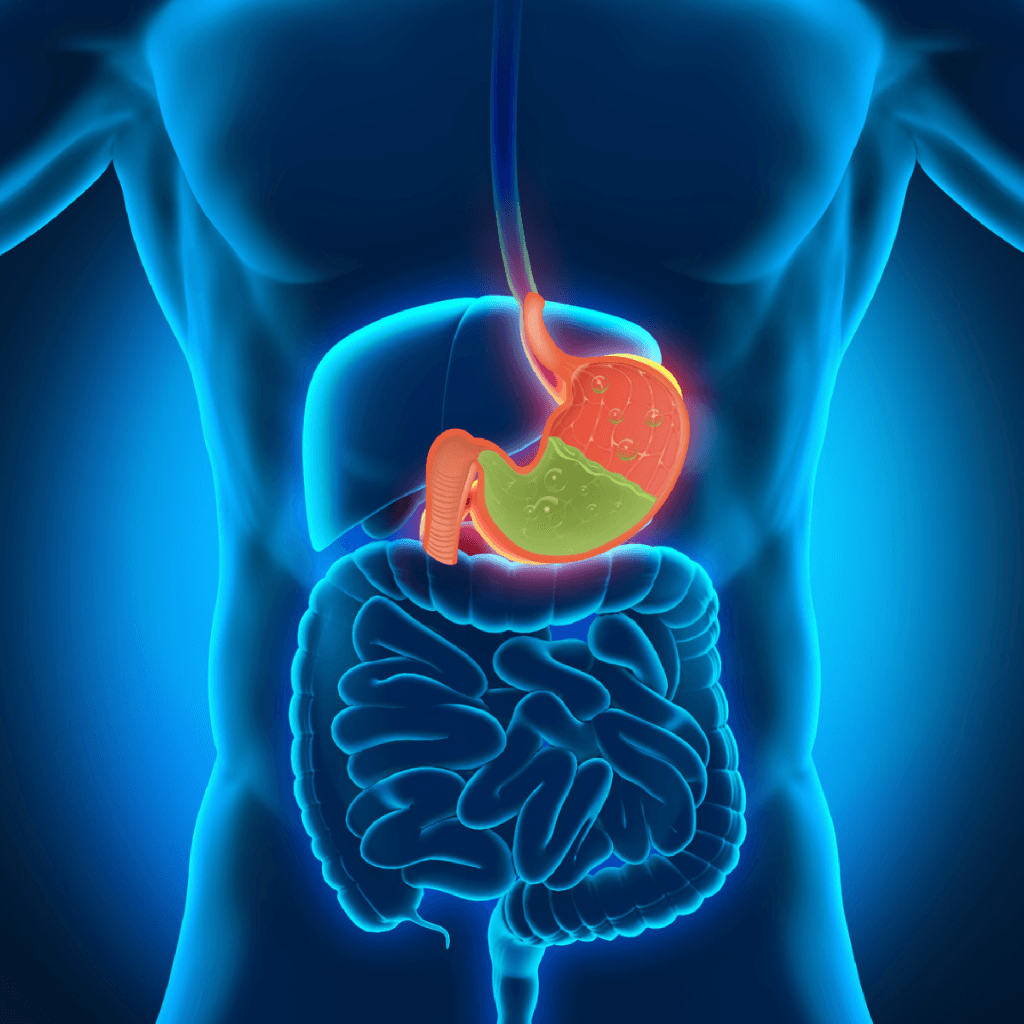 Qastrit xesteliyi haqqında