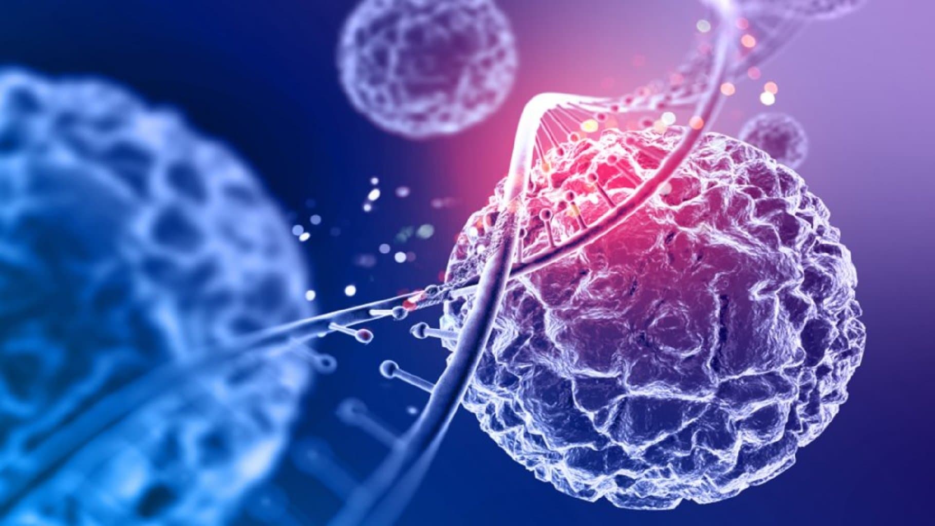 Kök Hüceyrə Müalicəsi