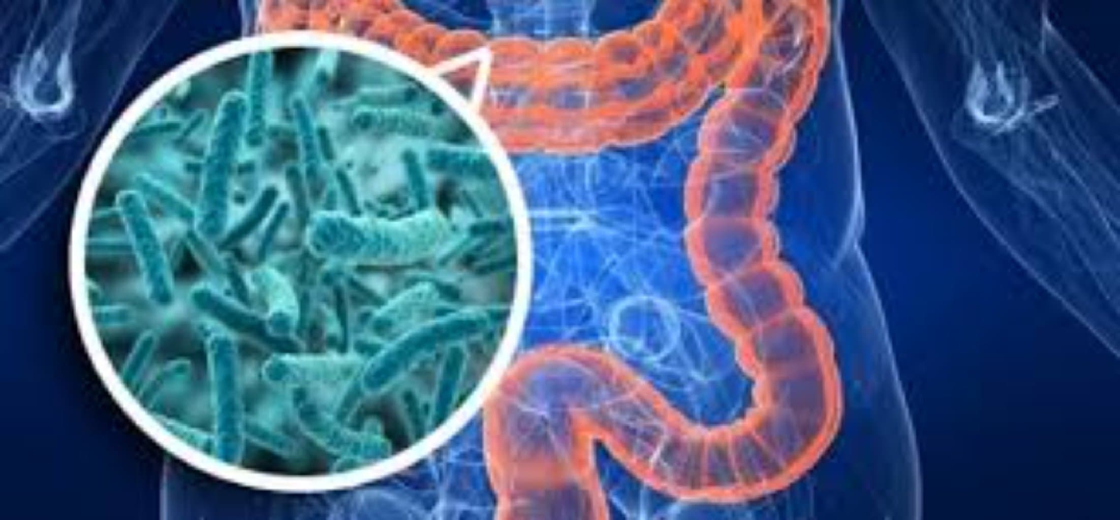 Qastroenteroloq hansı xəstəlikləri müalicə edir?