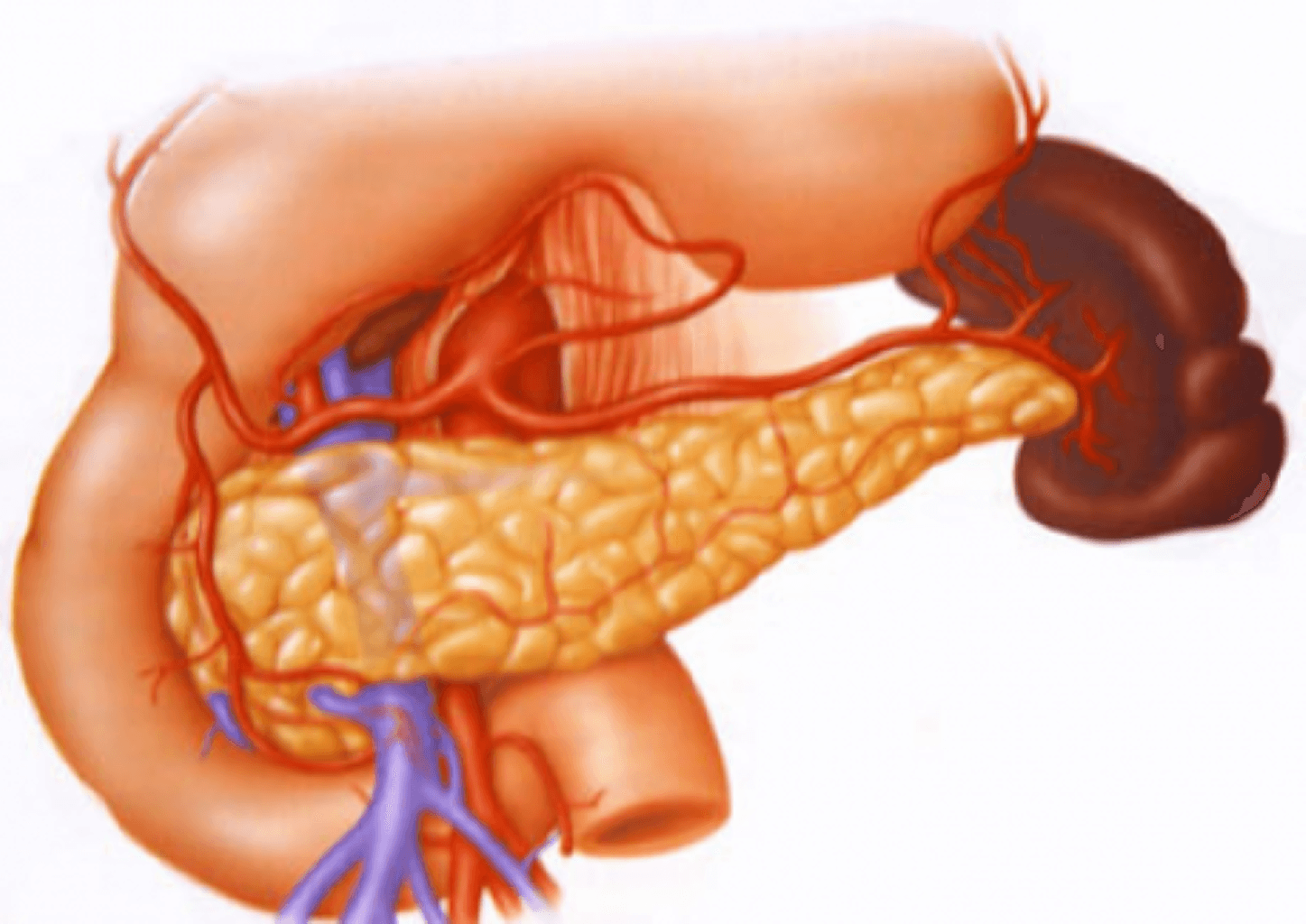 Pankreatit haqqında