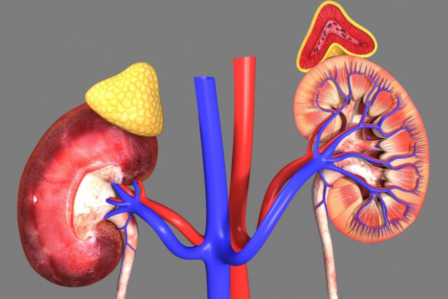 Böyrəküstü çatışmazlıq haqqında