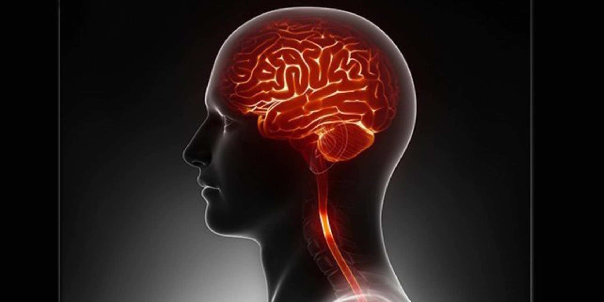 Onurğa beyni şişləri