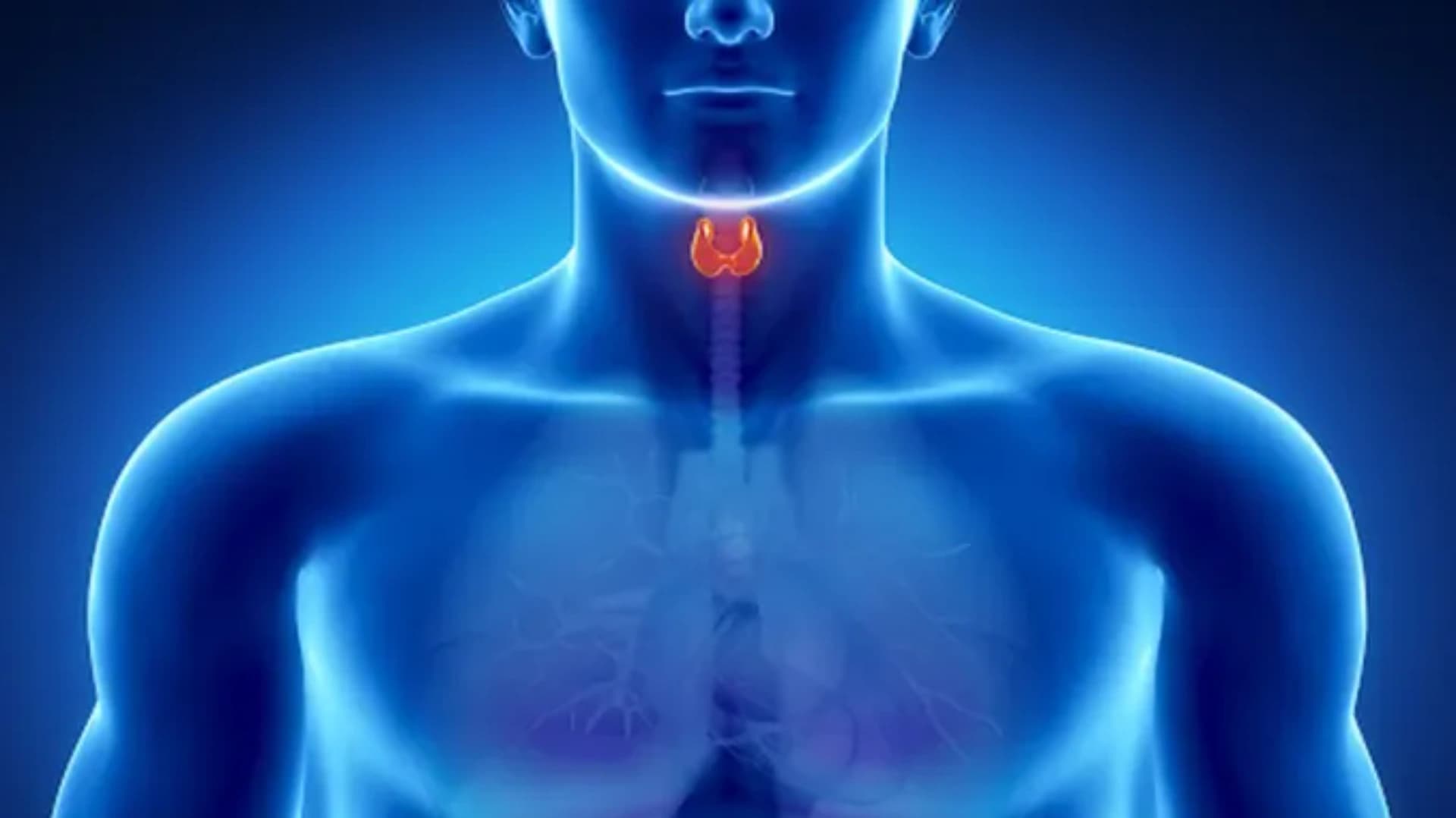 Endokrin xəstəliklər