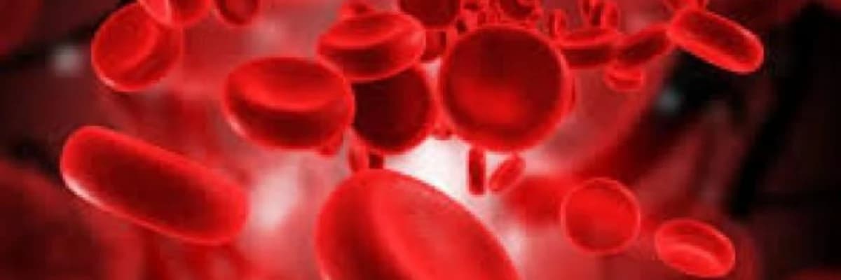 Oraq hüceyrəli anemiya, Aralıq dənizi anemiyası (talassemiya) kimi xəstəliklər