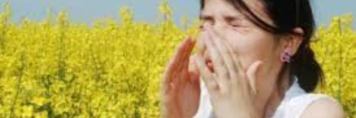 Pollinoz haqqında