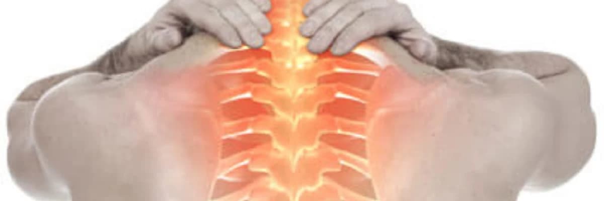 Bel ağrısının qarşısının alınması və təhsili (bel məktəbi), məşq proqramı