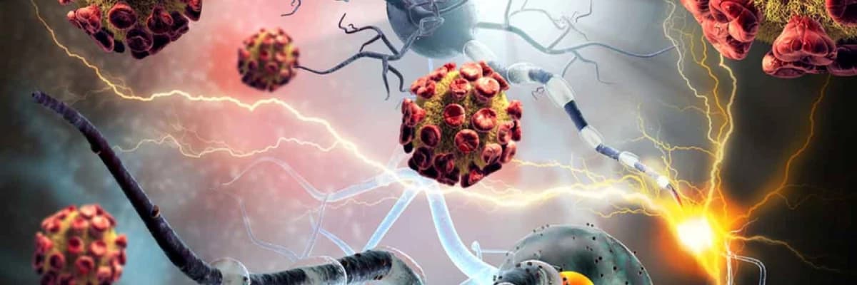 Otoimmün Xəstəliklər və ANA Testi: Tanı və Təşhisdə Vacib Rol