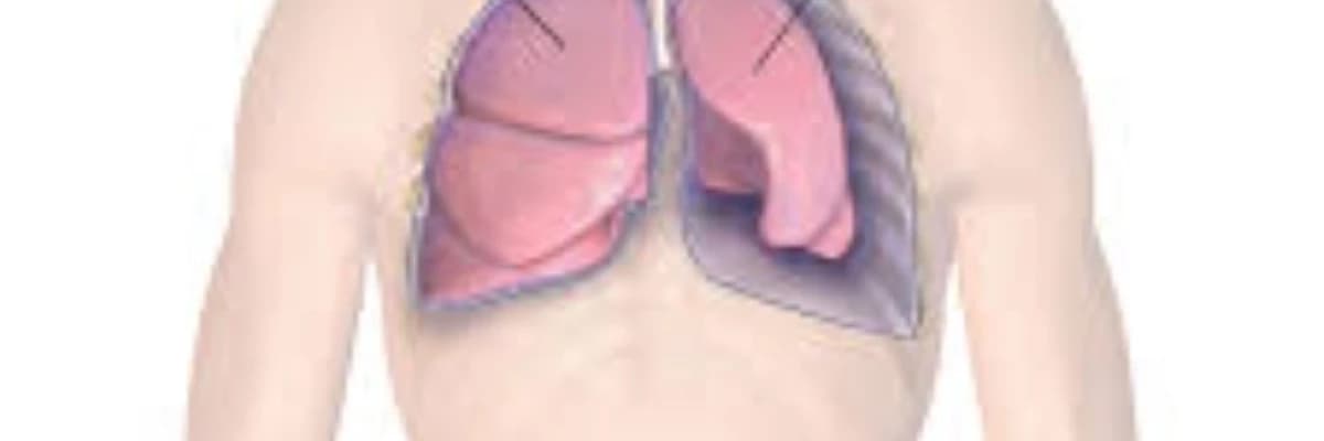 Birincil və ikincil pnevmotoraks - qazların, plevrə havanın yığılması