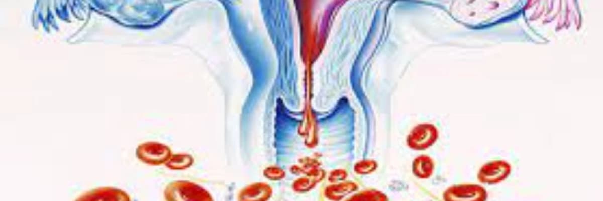 Aybaşı pozuntuları haqqında