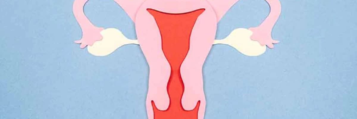 Qızlarda yumurtalıqların rotasiyası: simptomlar, səbəblər və müalicə