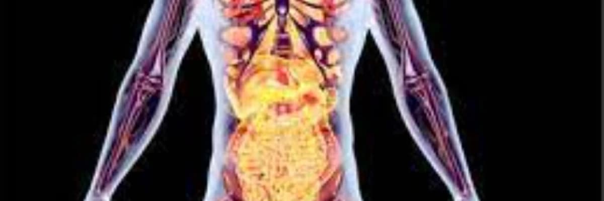 Cinsi hormonlarla bağlı xəstəliklər