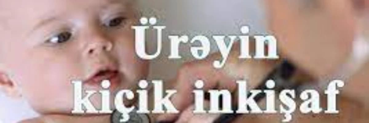 Üreyin kicik inkisaf anomaliyalari