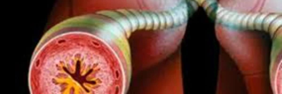 Bronxial astma və digər allergik problemlər