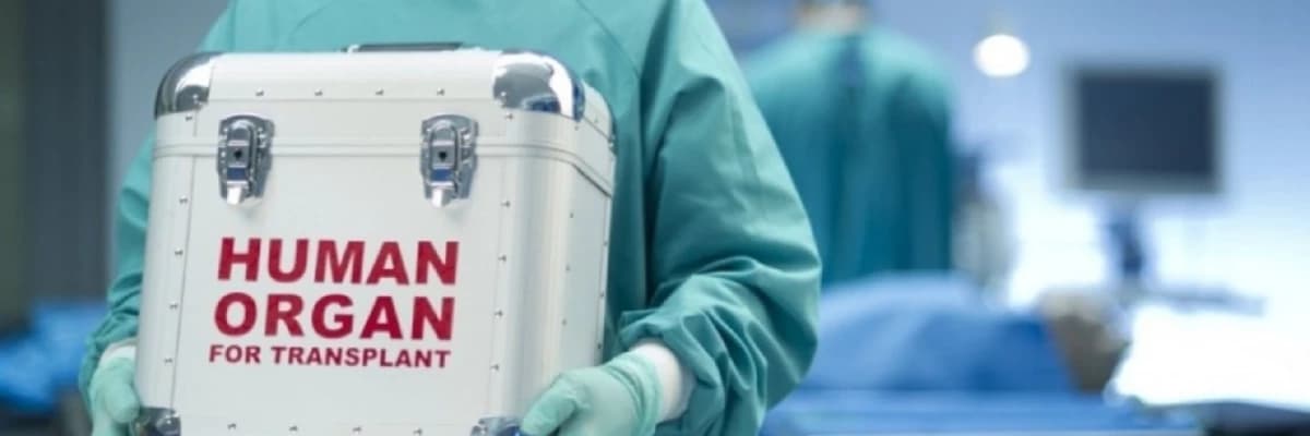 Transplantasiya Cərrahiyyəsi: Tərif, Əhəmiyyəti və Müalicə Yolları