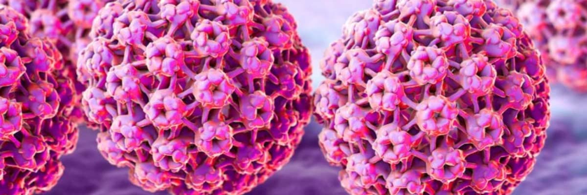 İnsan papillomavirusu (HPV) nədir? Semptomlar, müalicə və profilaktika