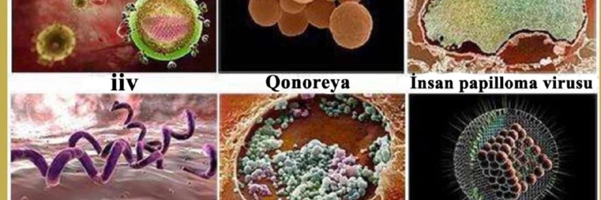 Cinsi yolla ötürülən infeksiyalar