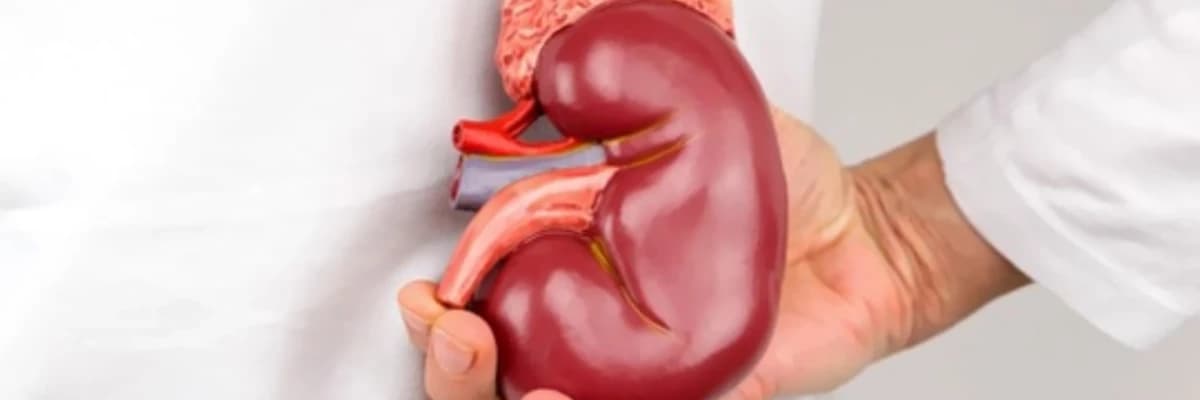 Hiperaldosteronizm haqqında melumat