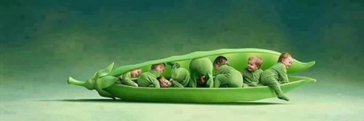 Kişi sonsuzluğunun müalicəsi