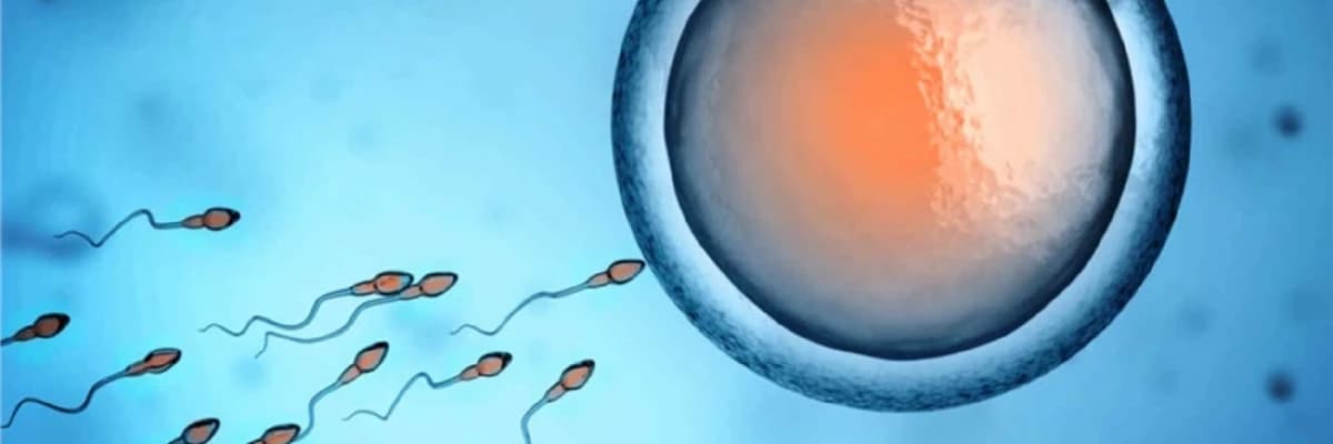 Mini IVF nədir?