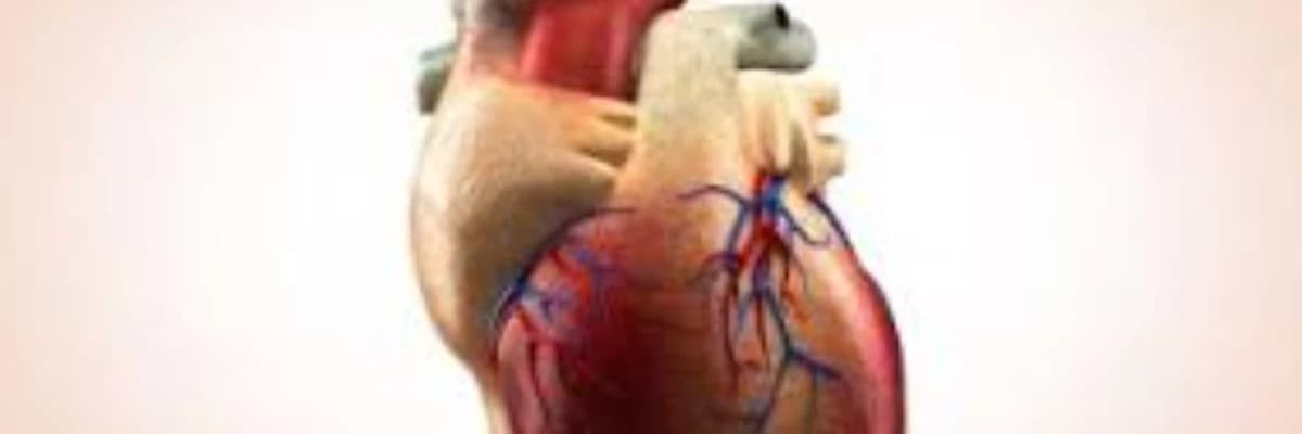 Ürəyin ritm pozğunluqları