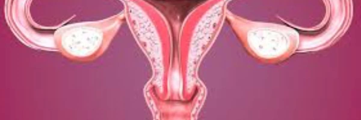 Endometriya və gənc boynun hiperplaziyası və polipləri