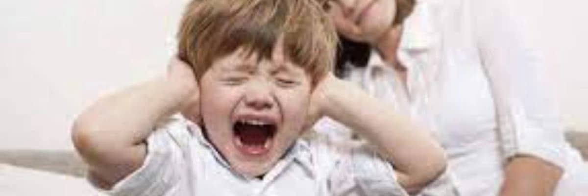 Uşaqların aqressiv davranislari