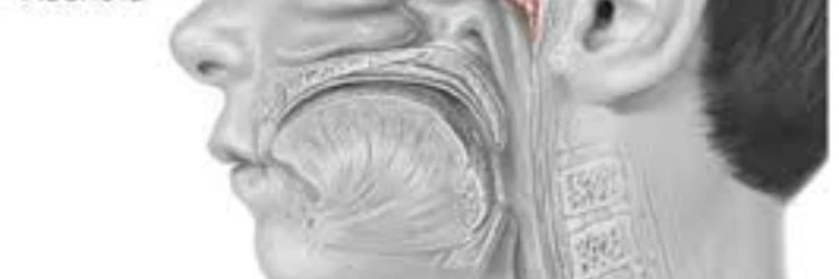 Adenoid vegetasiya