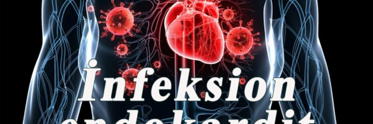 Endokardın xəstəlikləri