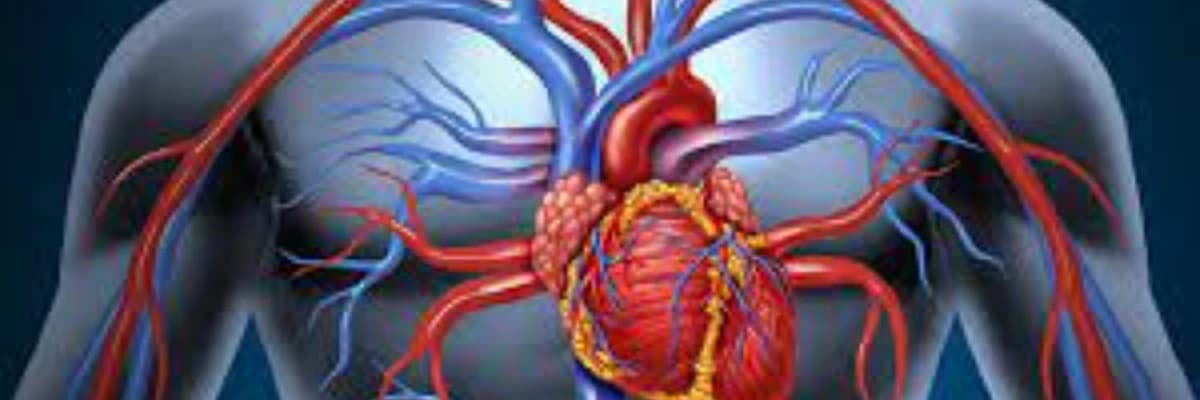 Ürək Qapağı Xəstəlikləri