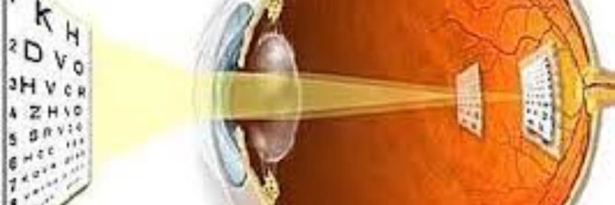 Görmənin ikiləşməsi