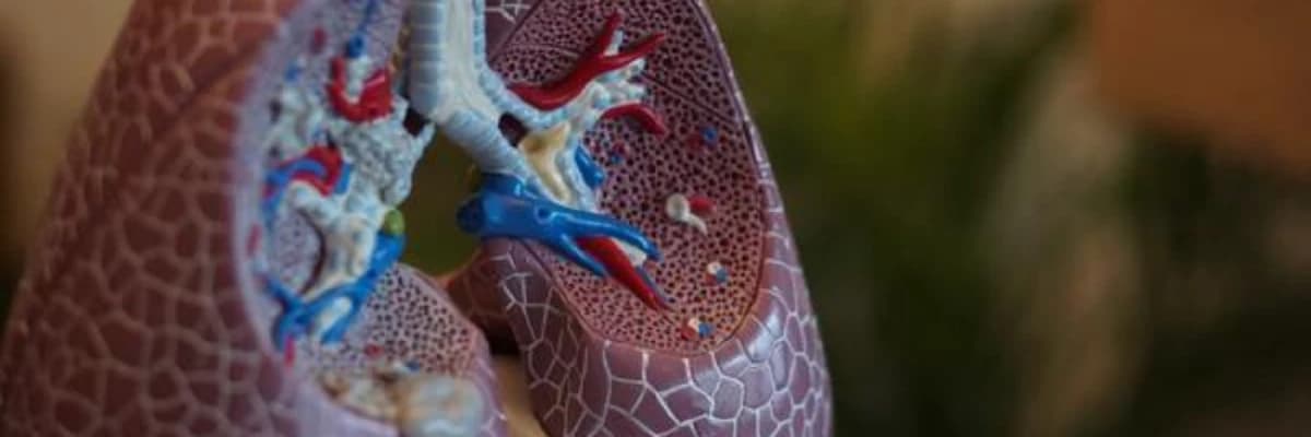 Ağciyər həcminin azaldılması əməliyyatı (Amfizem cərrahiyəsi - Lung Volume Reduction Surgery)