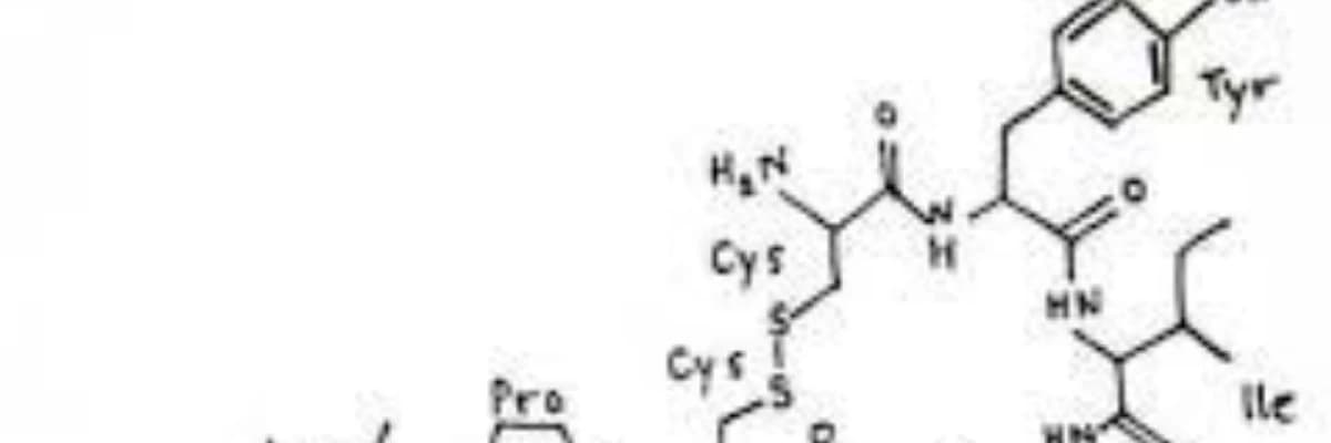 Oksitosin hormonu və onun orqanizmdə rolu