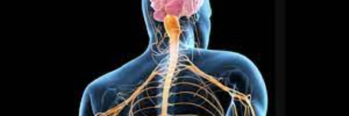 Əzələ-skelet sistemi xəstəliklərinin və osteoporozun müalicəsi
