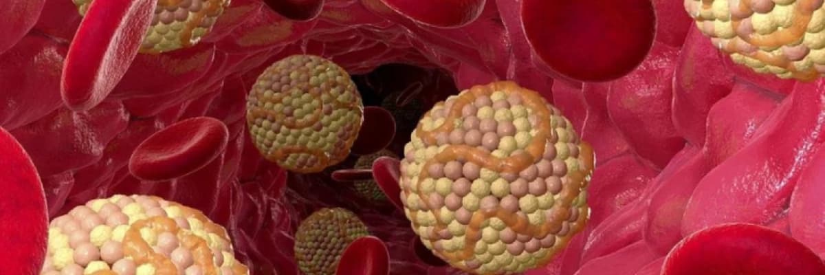 Xolesterol nedir?