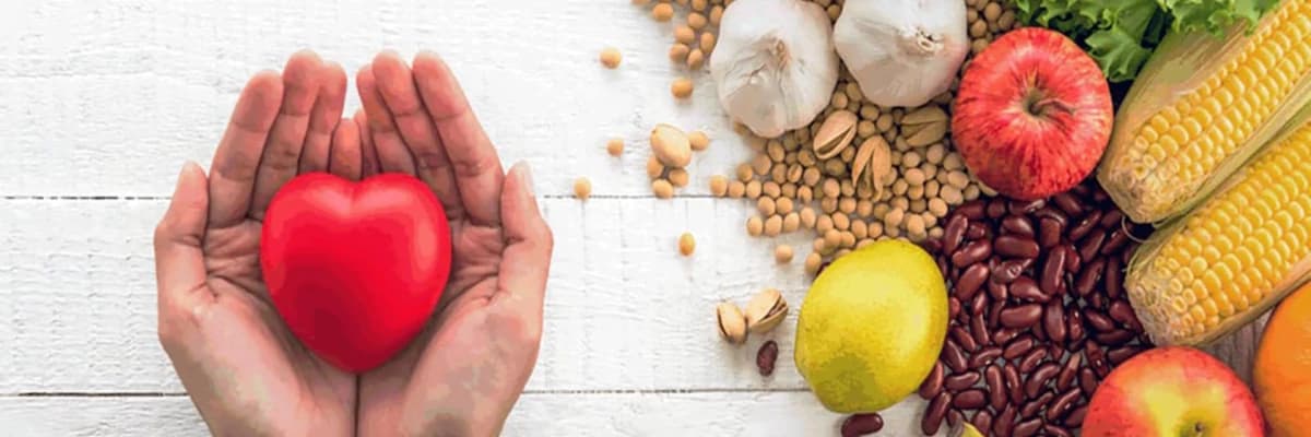 Sağlam qidalanmanın əsasları zülalların, karbohidratların və yağların tarazlaşdırılmasıdır"