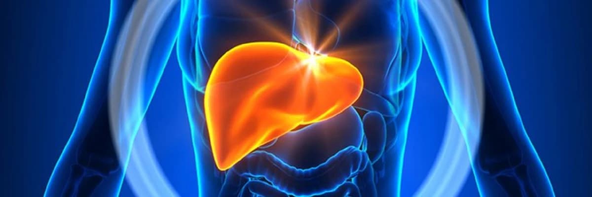 Qaraciyərin piylənməsi