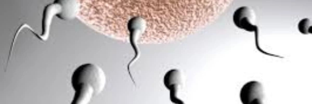 Sonsuzluq xesteliyi haqqında